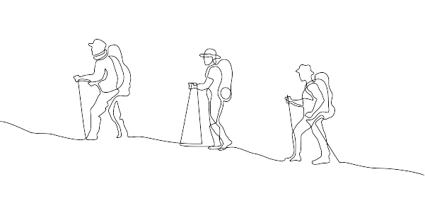 A wireframe image