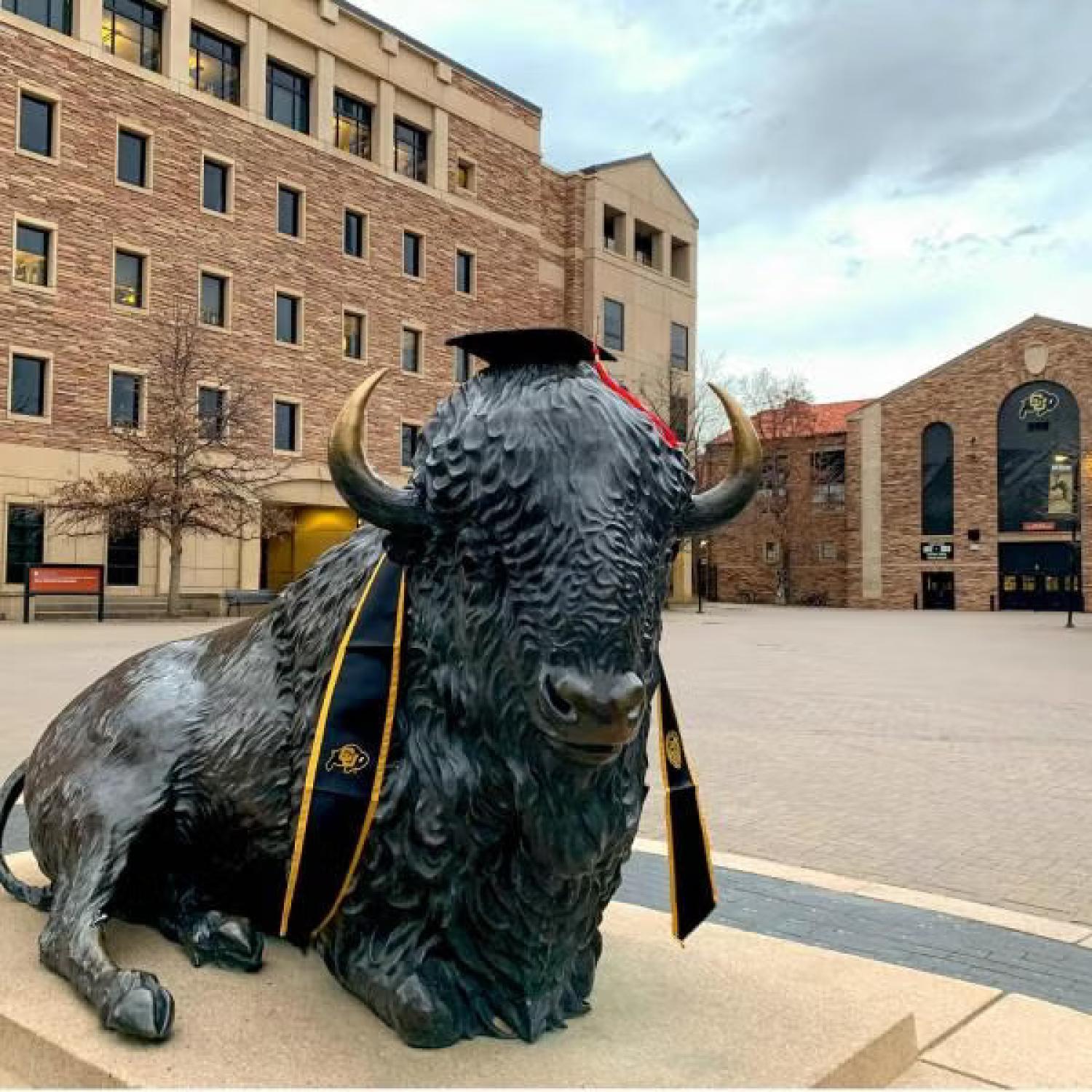 Graduating Buffalo