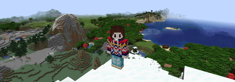 minecraft screen cap