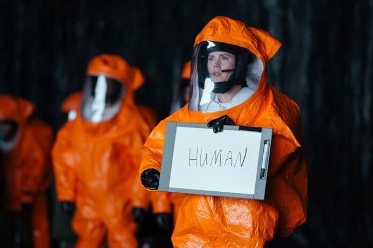 arrival pic