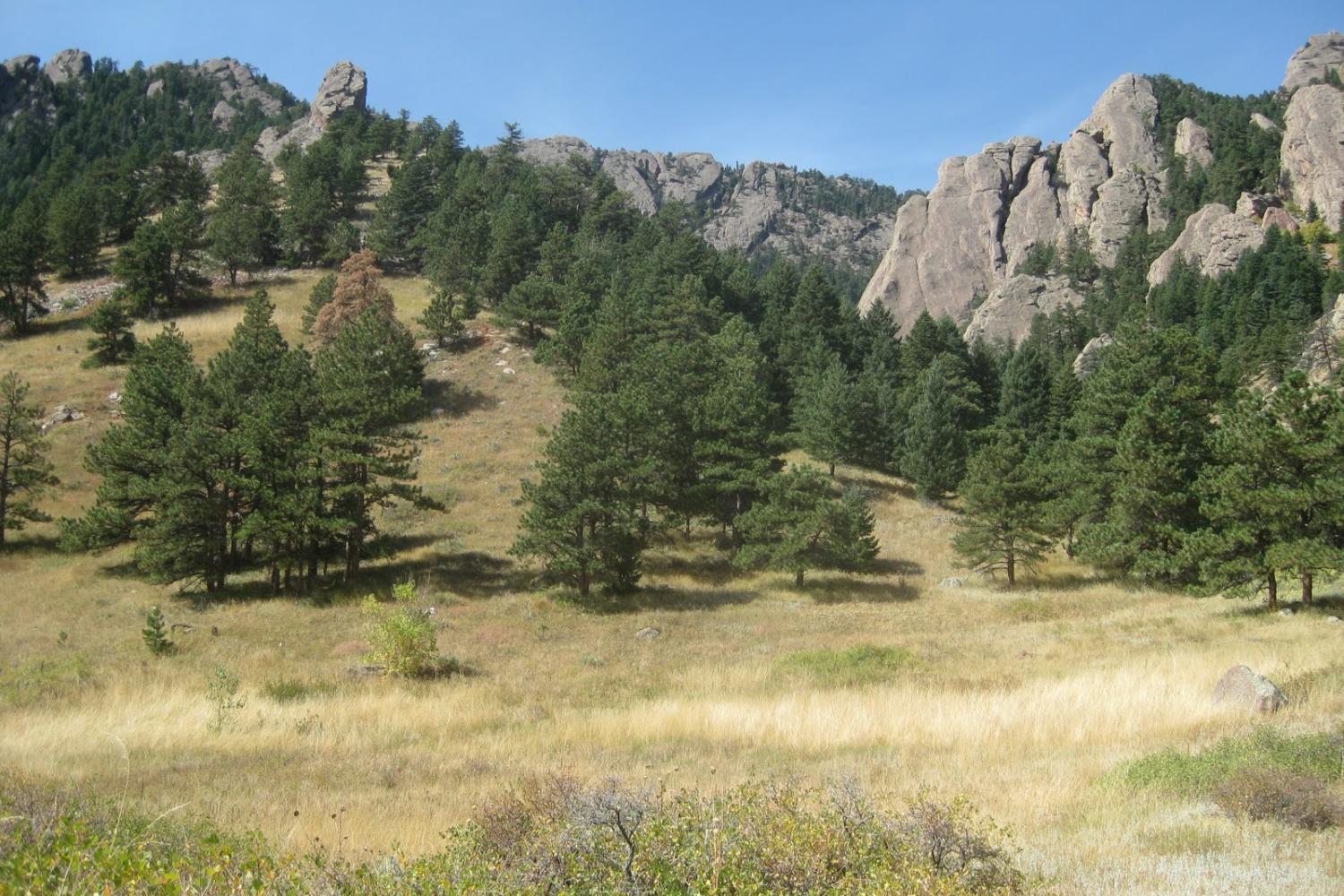 Mesa Trail