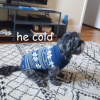 he cold