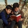 Photo of two boys reading a book