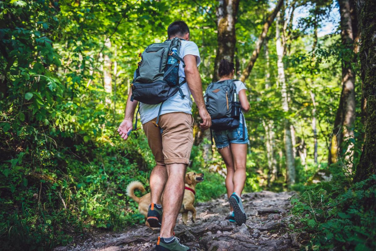 Couple hiking in the woods with a dog