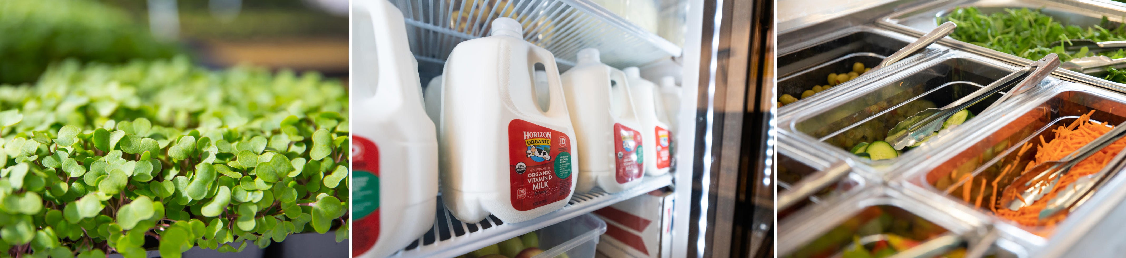 Food Sourcing, Safety and Sustainability Housing & Dining University of Colorado Boulder