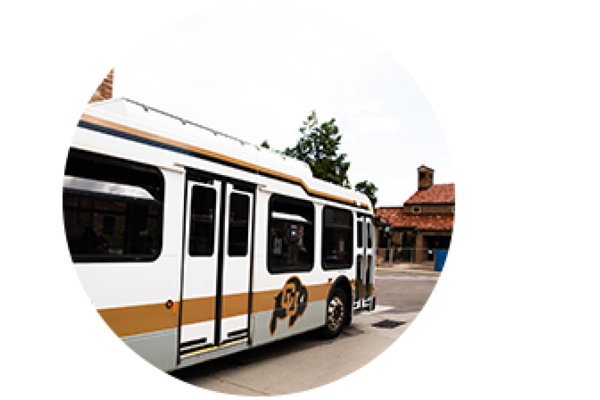 Buff bus