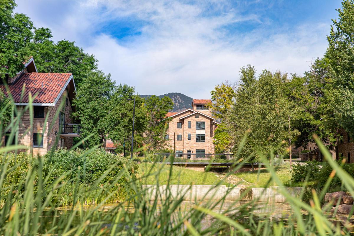 undergraduate housing