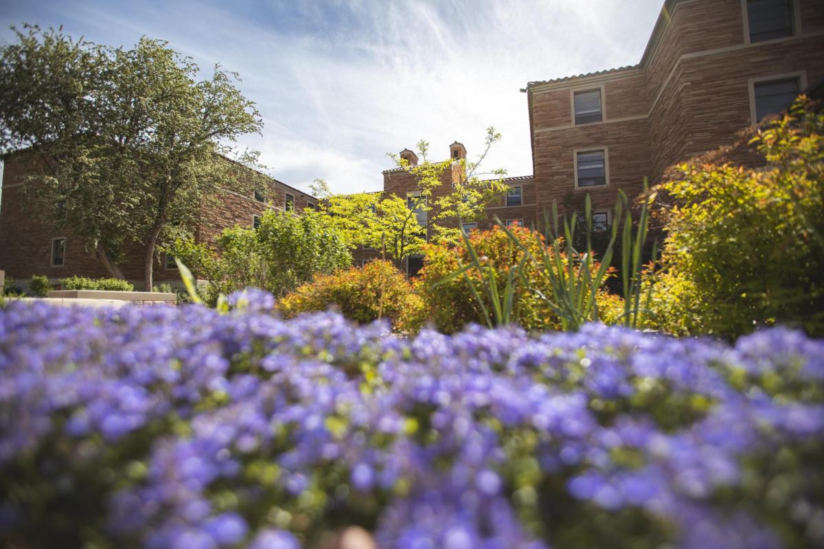 Spring campus