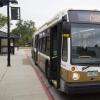 Buff Bus