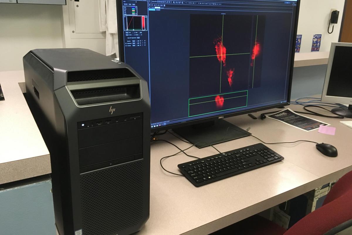 HP Z8 Analysis Workstation (Imaris Equipped)