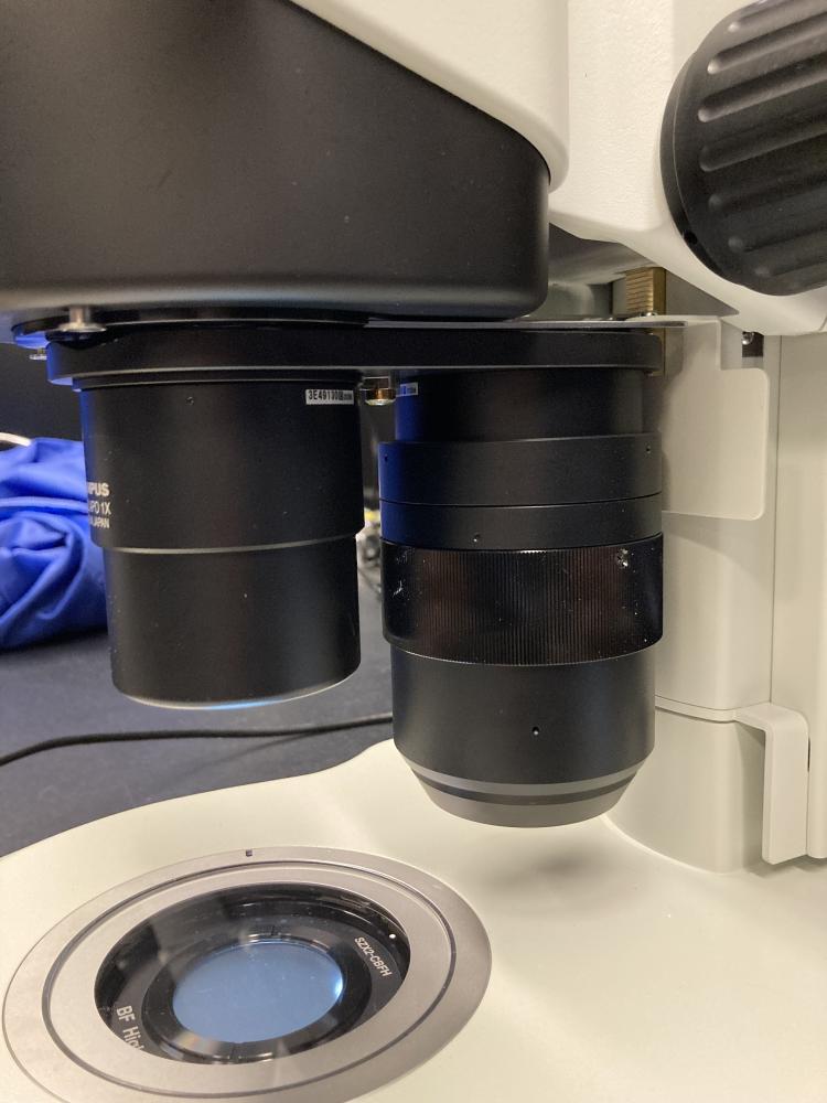 MACRO 2 position nosepiece
