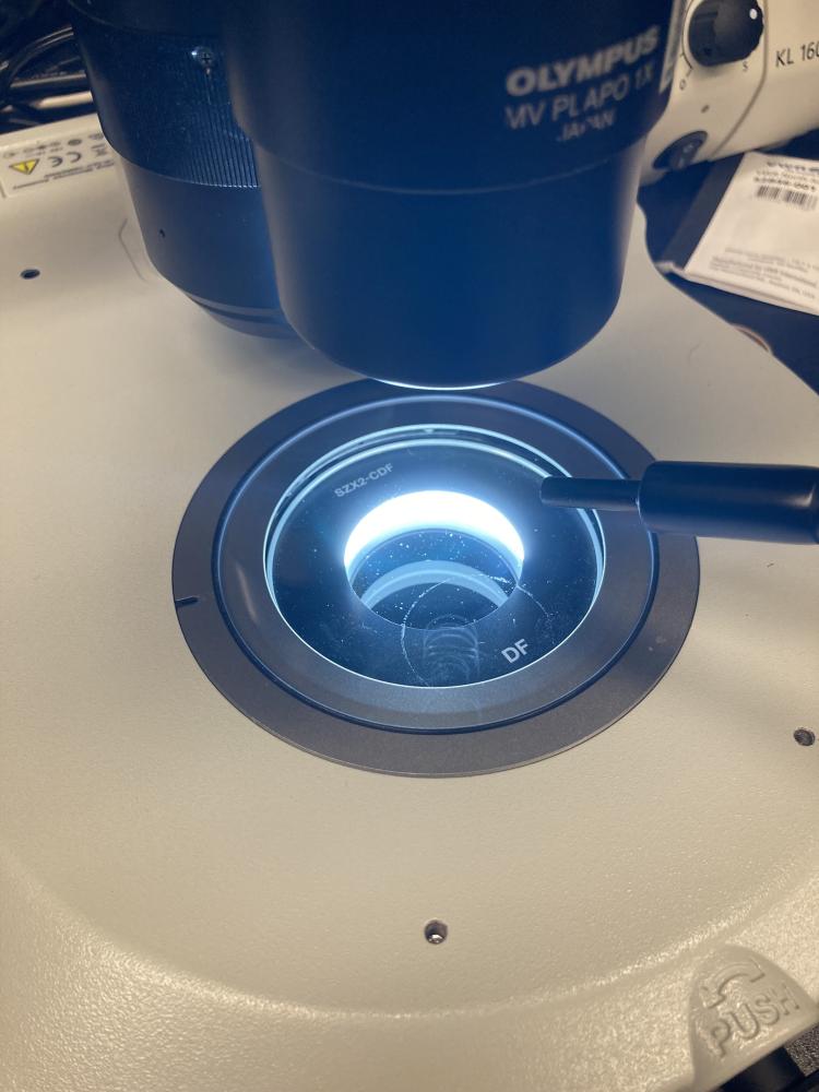 MACRO darkfield base and fiber optic