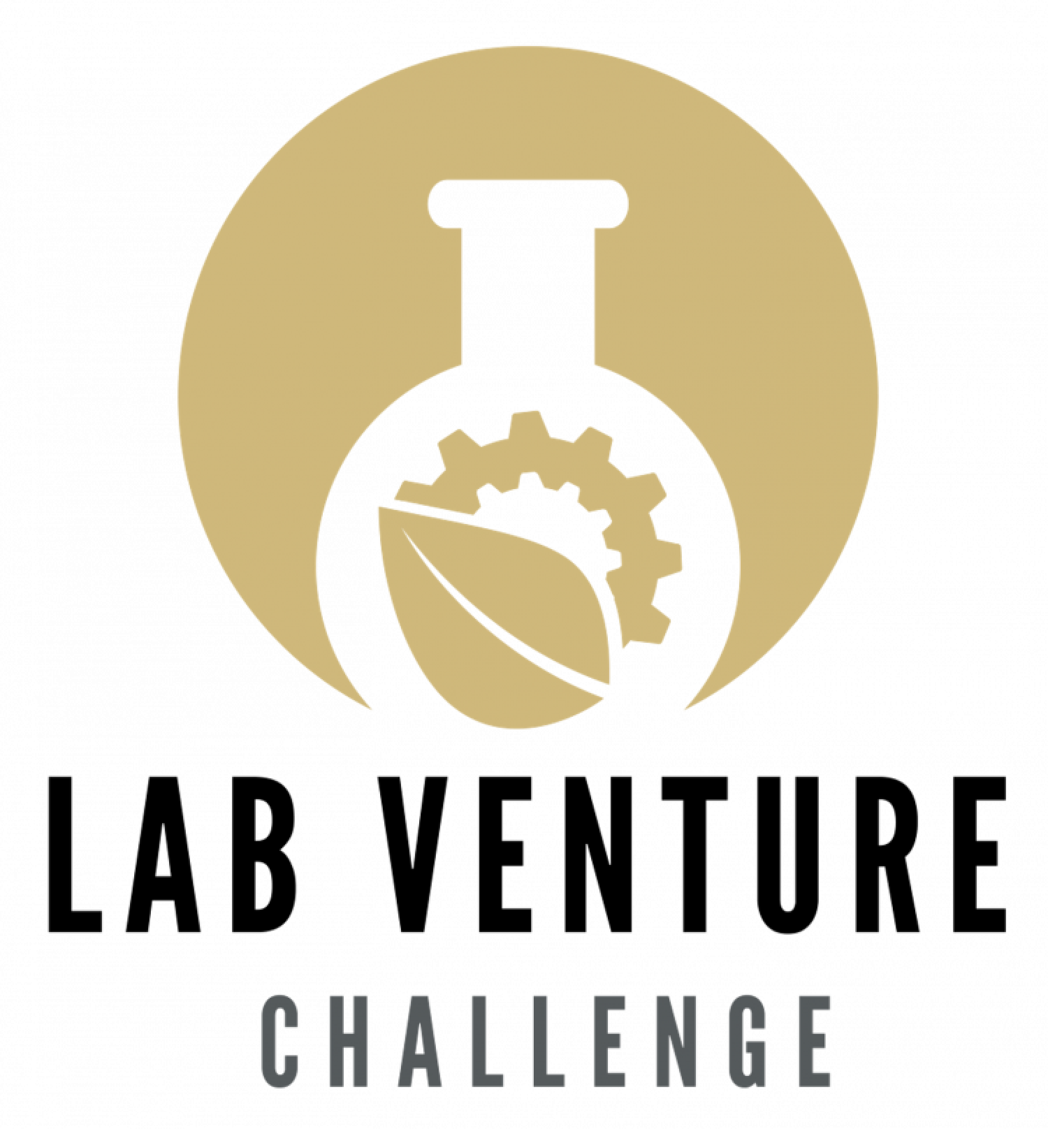 LVC Logo