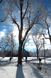 Campus Winter
