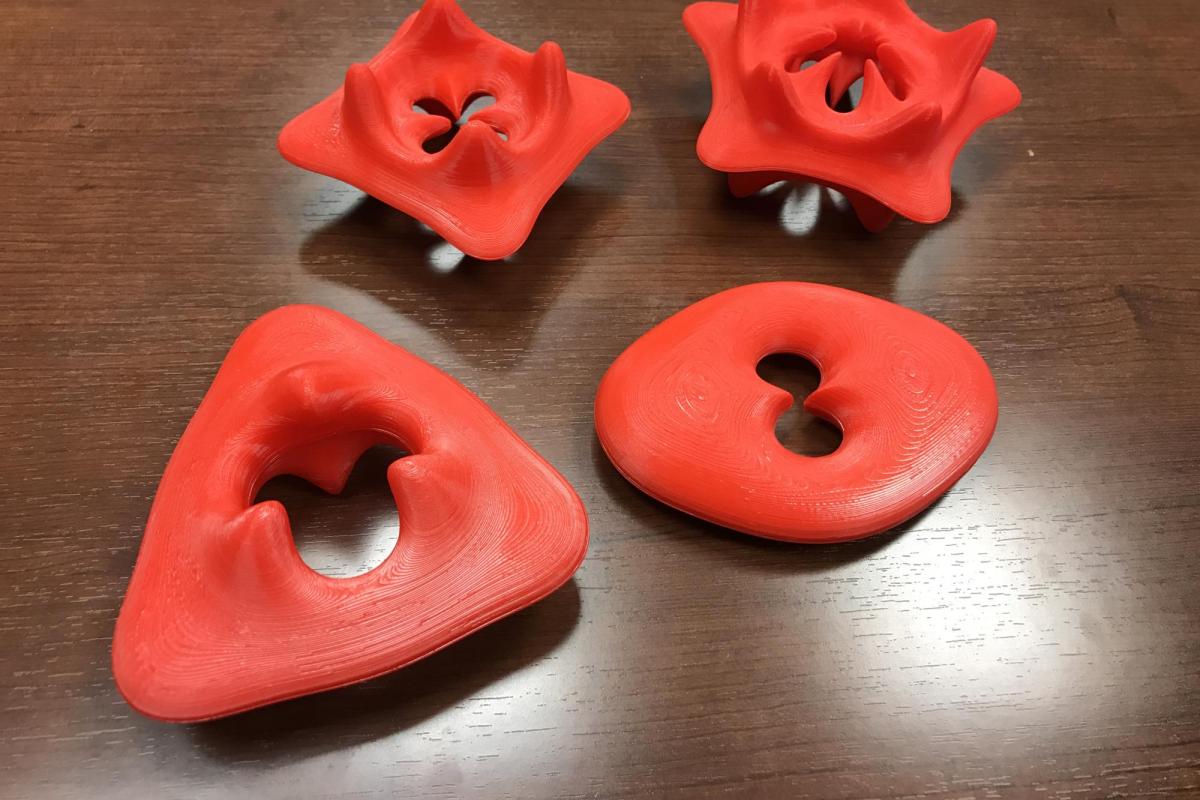3d printed models of tori representing complex functions