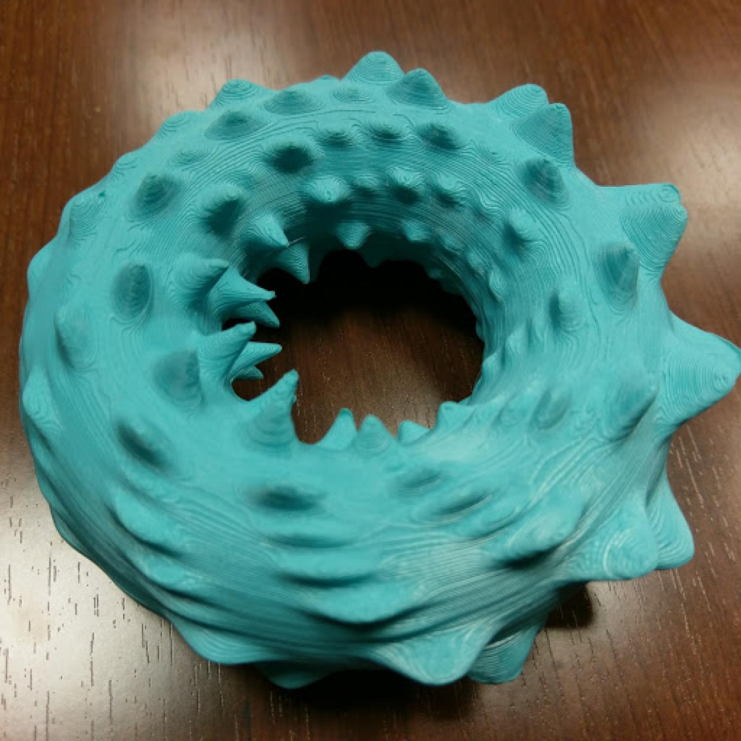 interference pattern on a torus
