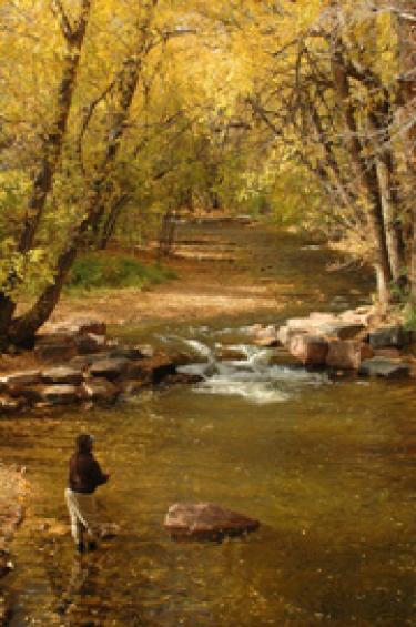 Creek