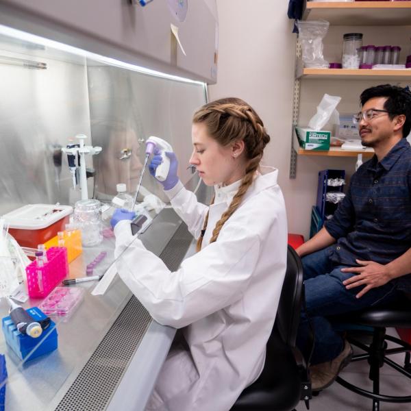 Packard Fellowship recipient Ed Chuong, assistant professor of molecular, cellular and developmental biology, works in his lab with undergraduate student Isabella Horton. Credit: Glenn Asakawa/CU Boulder