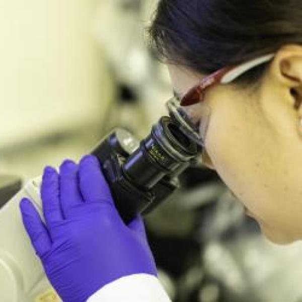 Scientist at microscope thumbnail