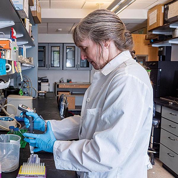Corrie Detweiler at lab bench
