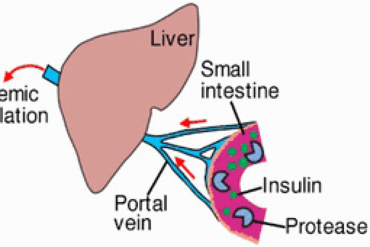 Human insulin protein.