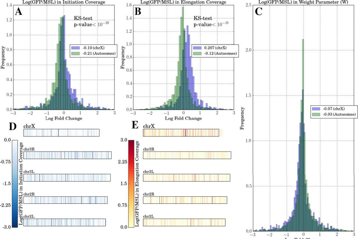Genome-wide analysis of Drosophila upon MSL treatment reveals new insights into transcriptional profiles.