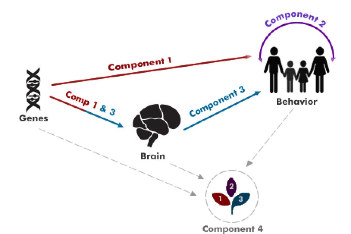 Overview of components.