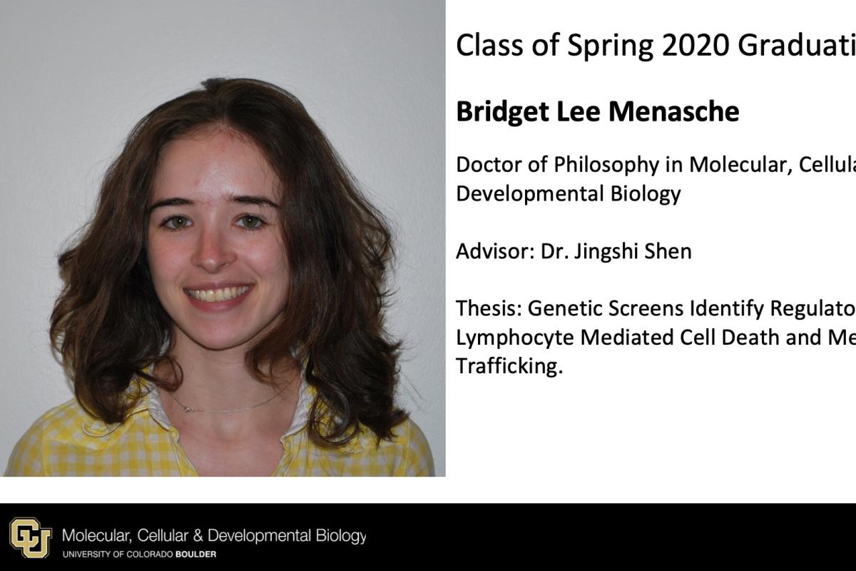 Bridget Lee Menasche