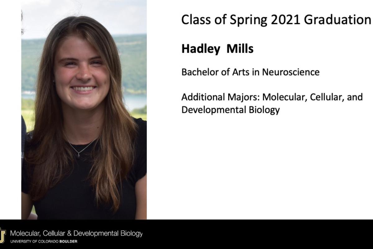 Hadley Mills