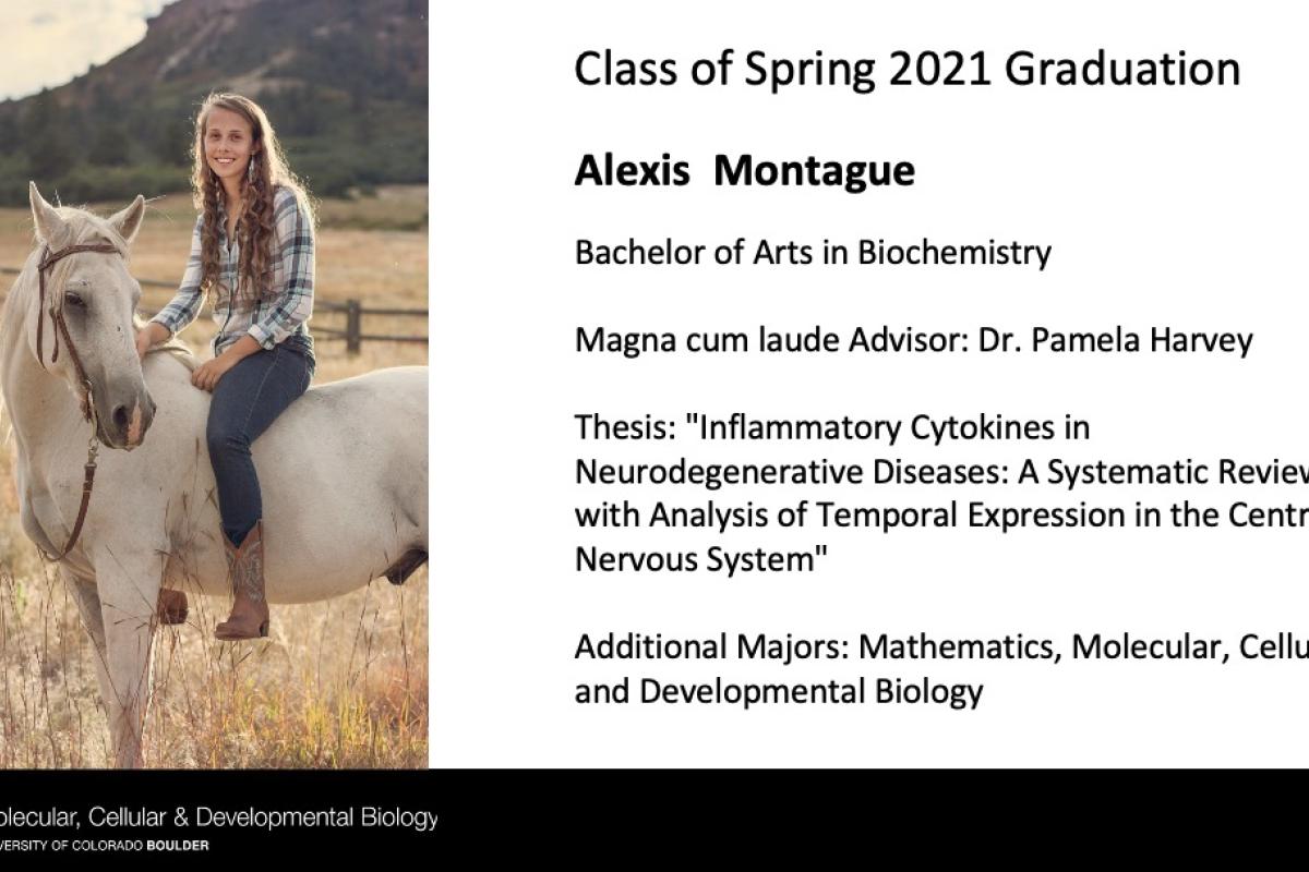 Alexis Montague