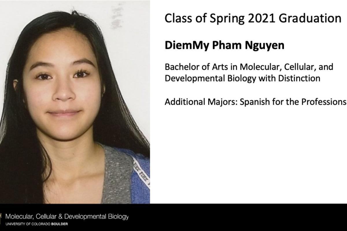 DiemMy Pham Nguyen