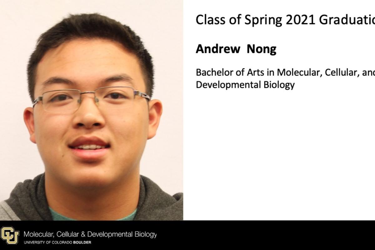 Andrew Nong