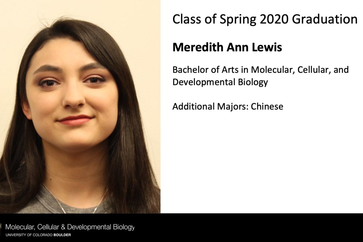 Meredith Ann Lewis