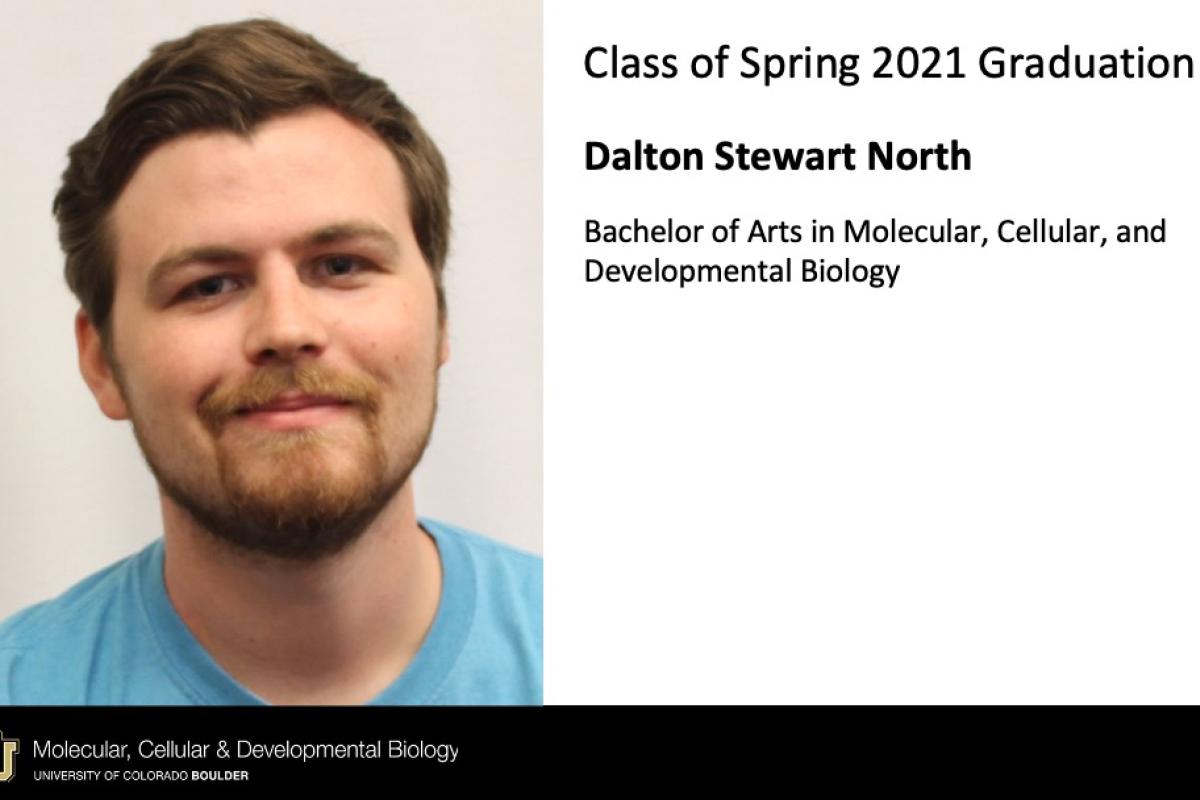 Dalton Stewart North