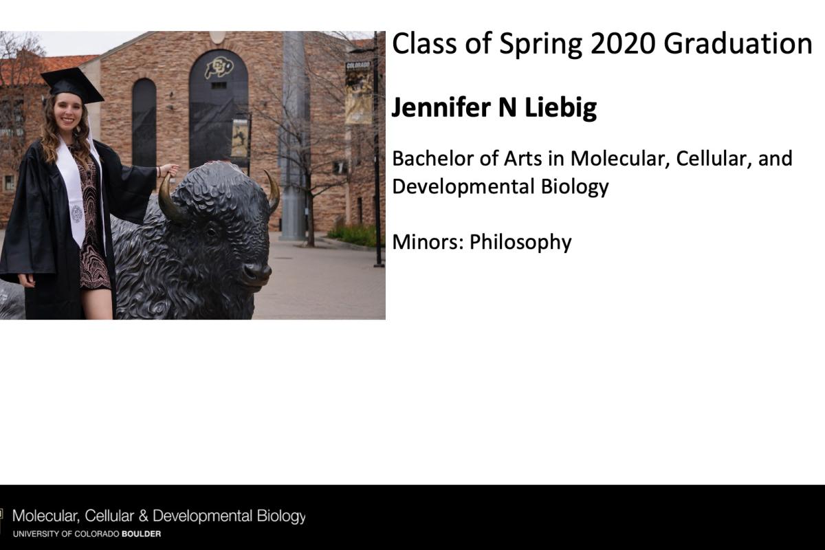 Jennifer N Liebig