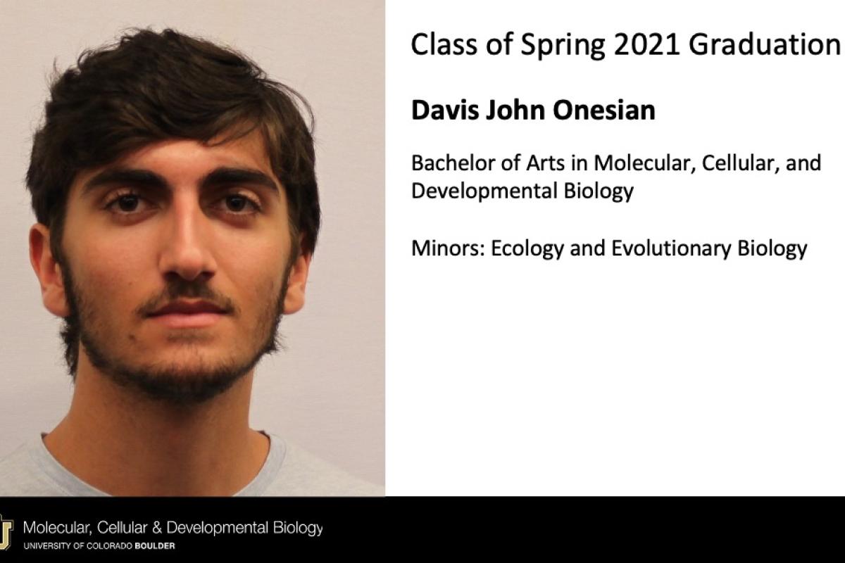 Davis John Onesian