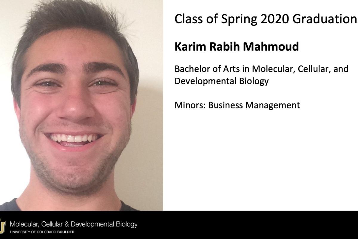 Karim Rabih Mahmoud