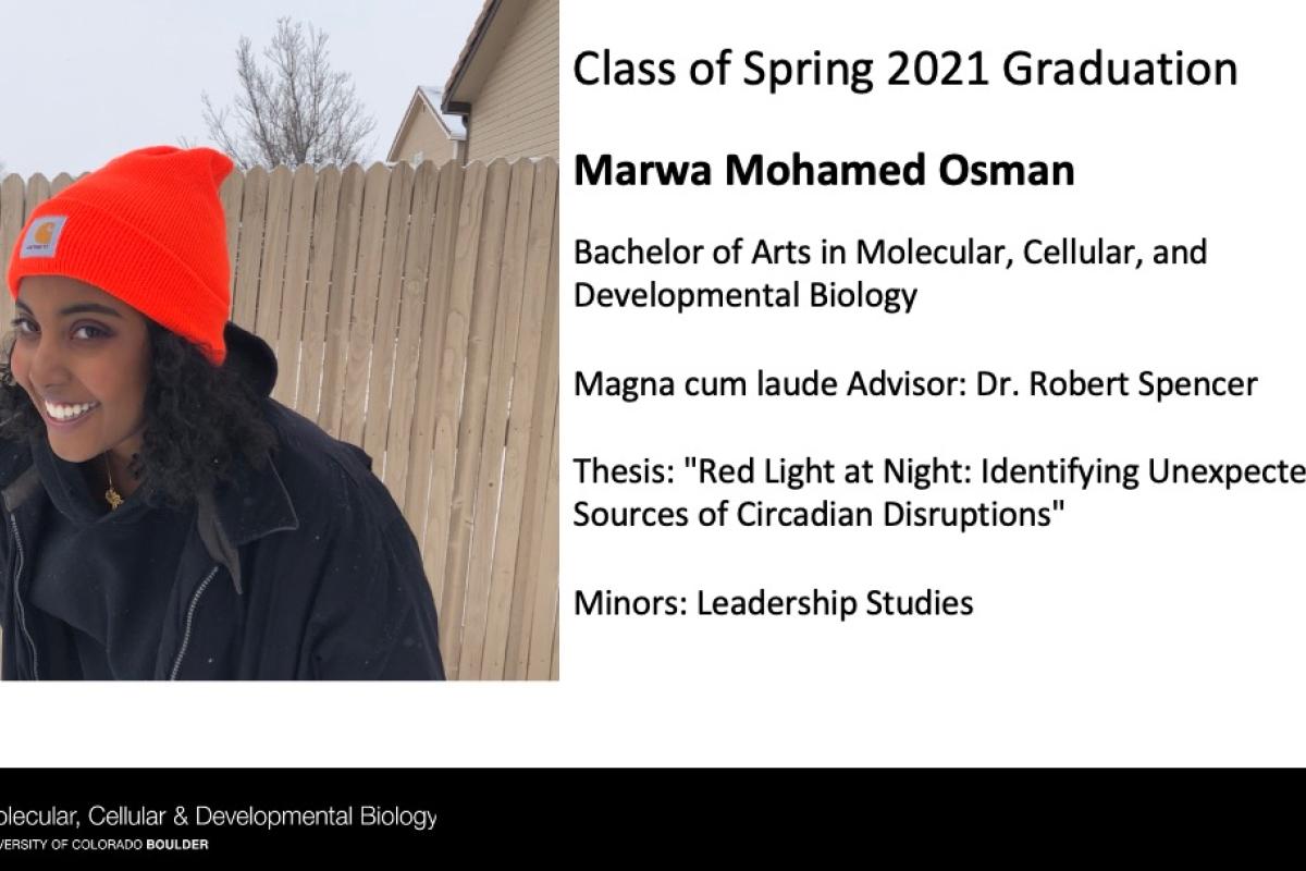 Marwa Mohamed Osman