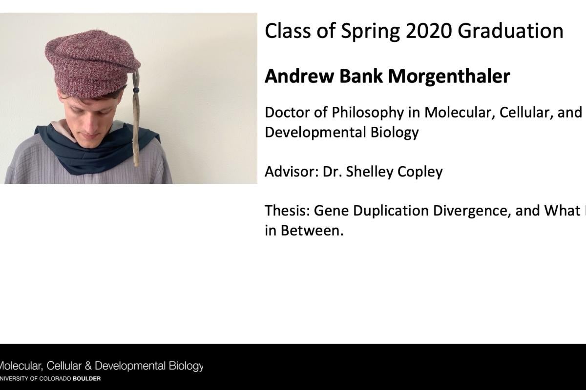 Andrew Bank Morgenthaler