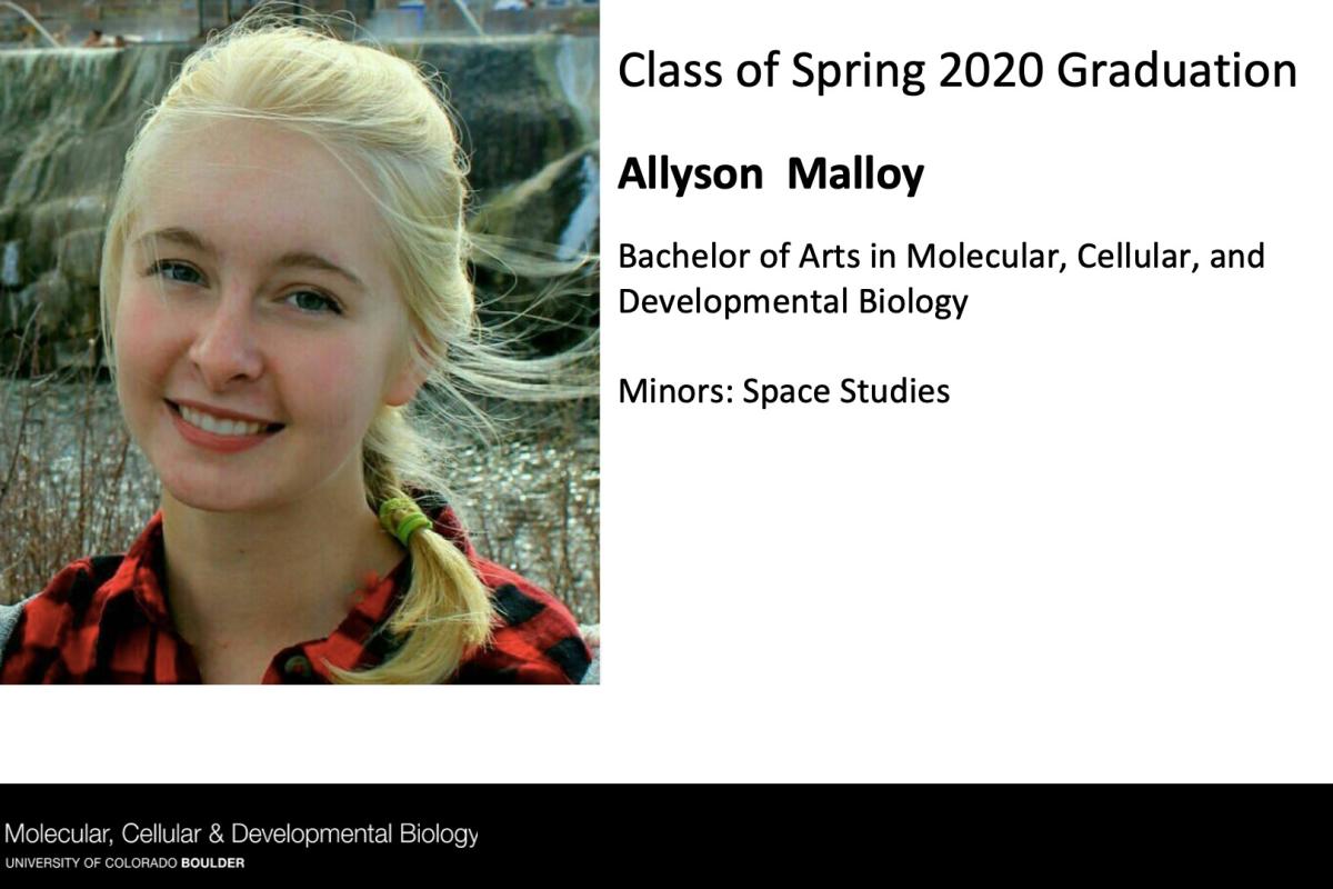 Allyson Malloy