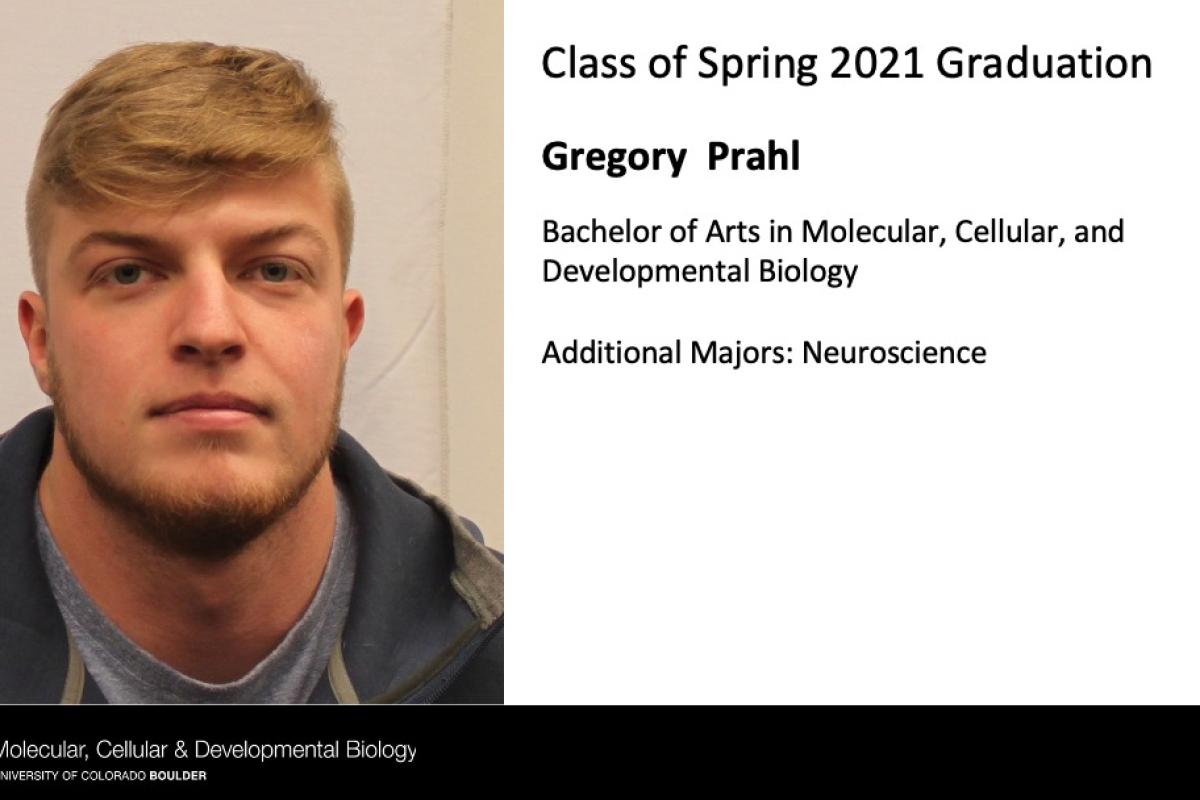 Gregory Prahl