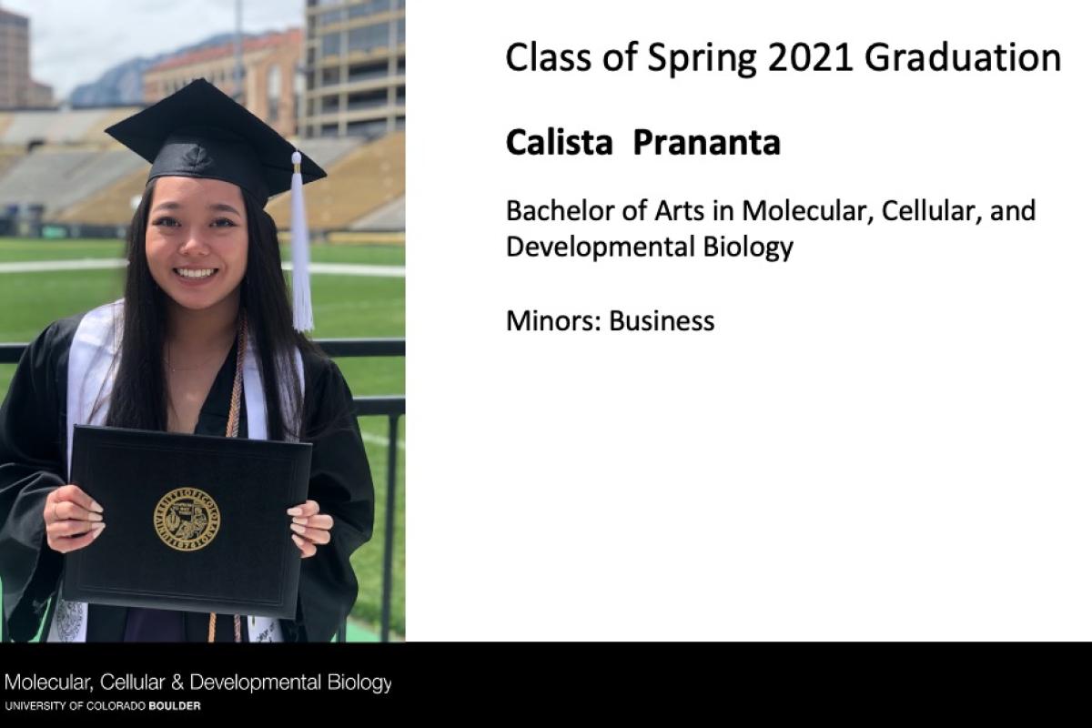 Calista Prananta