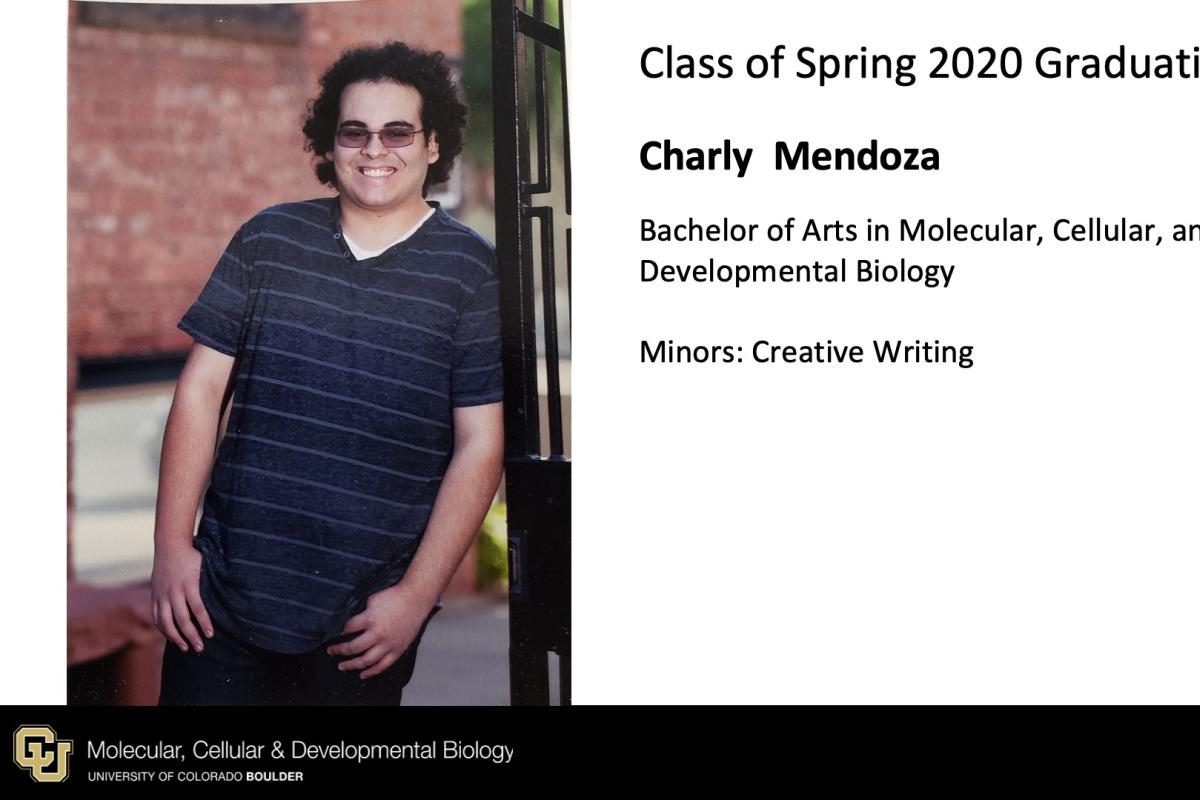 Charly Mendoza