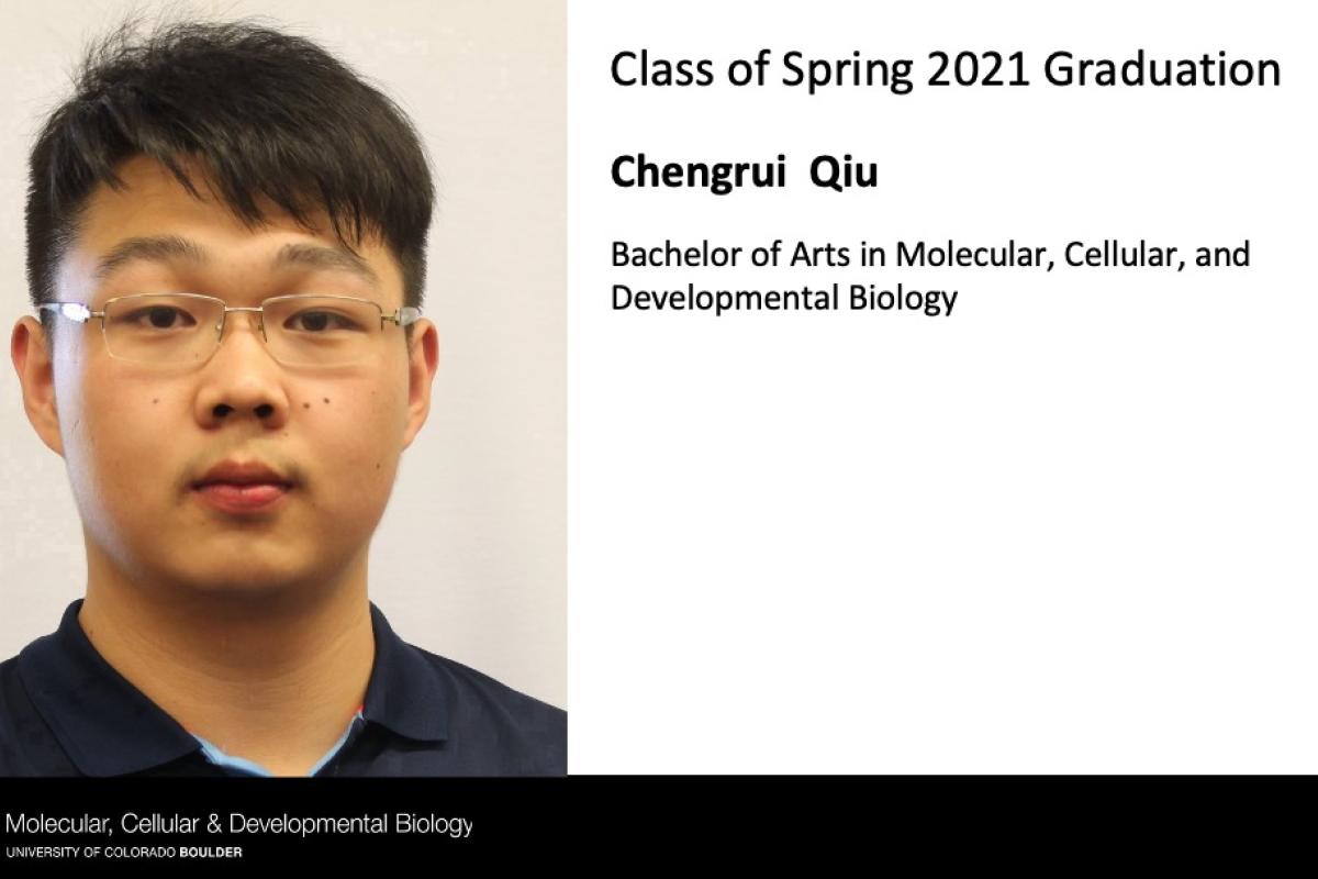 Chengrui Qiu