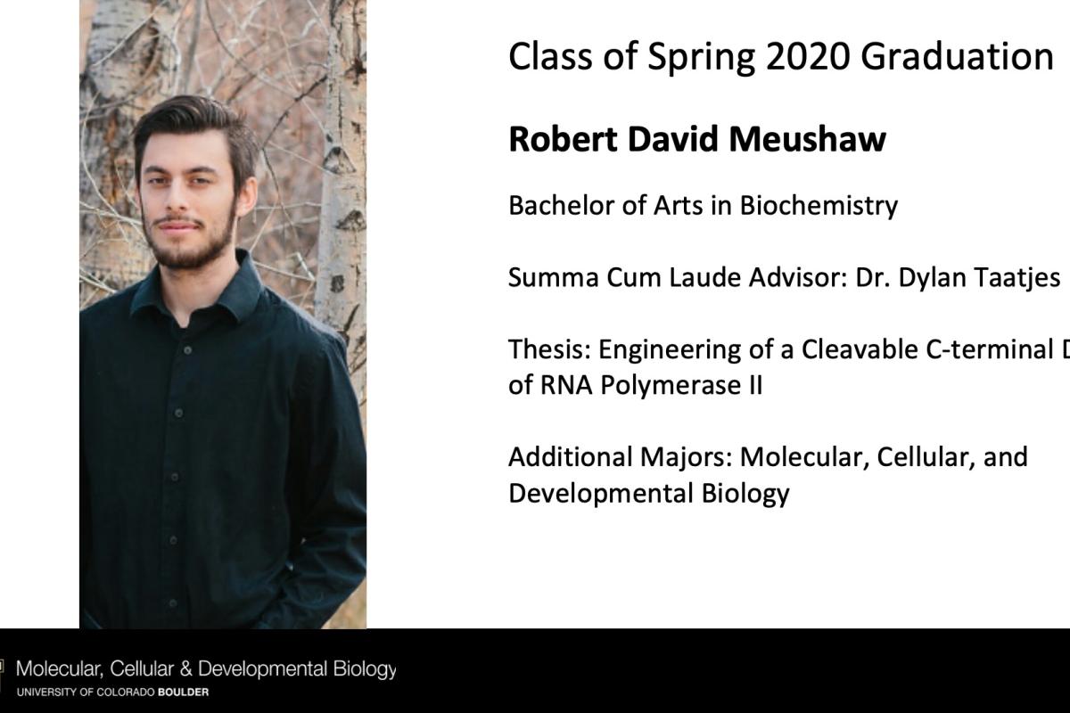 Robert David Meushaw