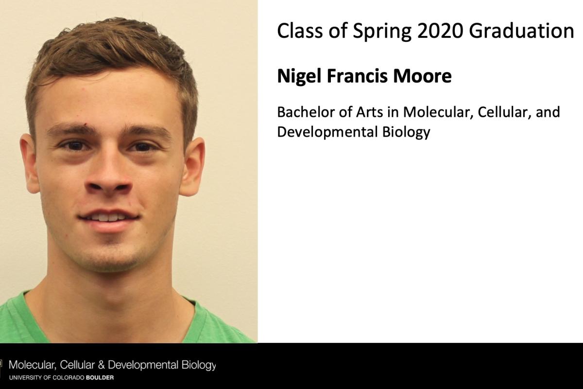 Nigel Francis Moore