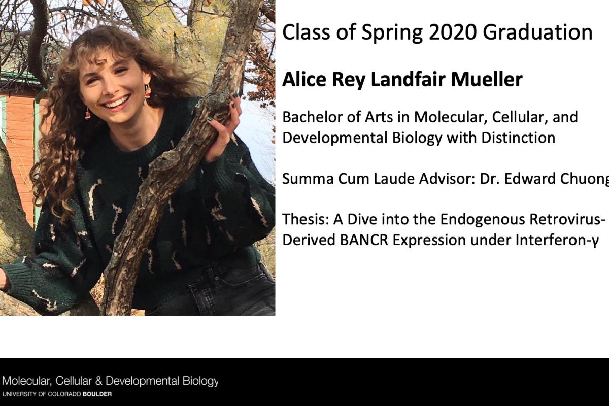 Alice Rey Landfair Mueller