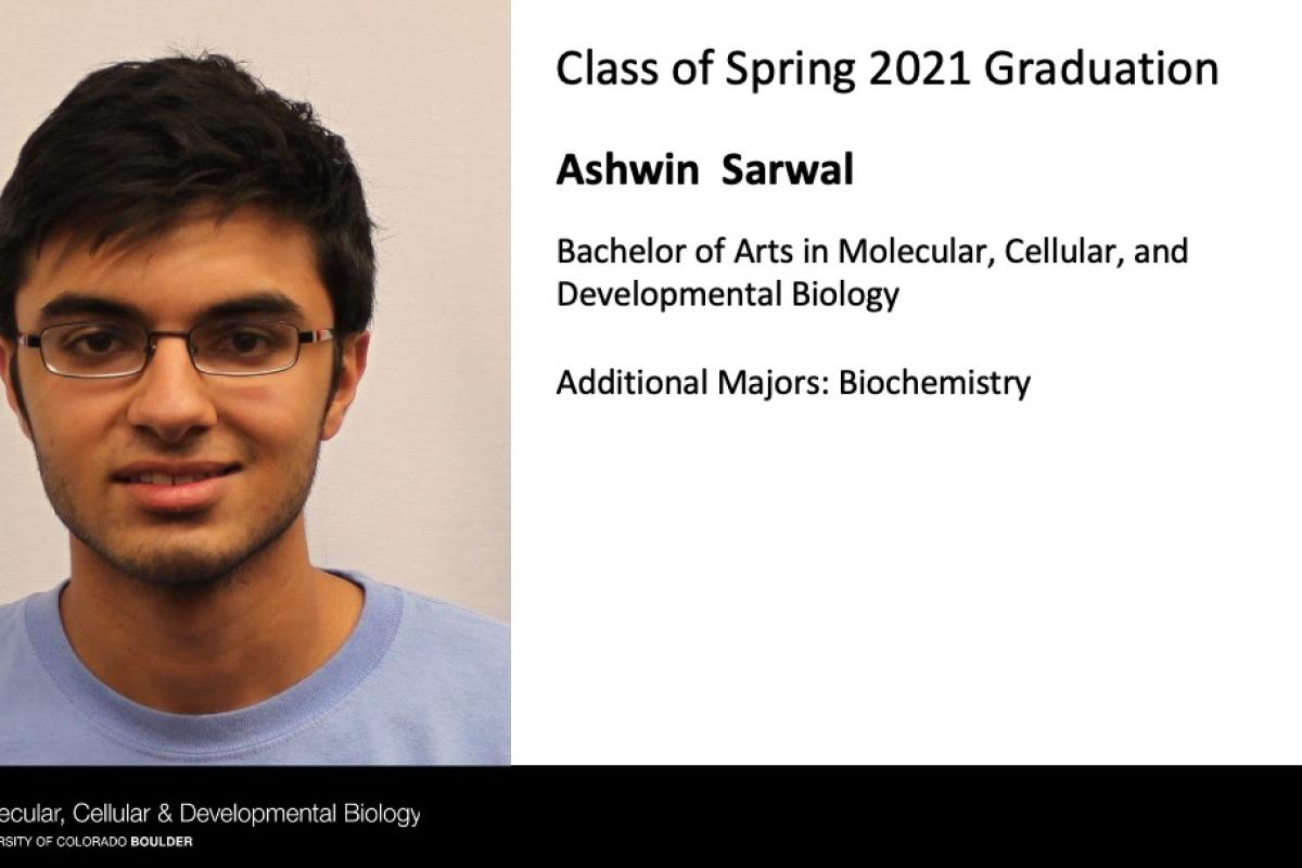 Ashwin Sarwal