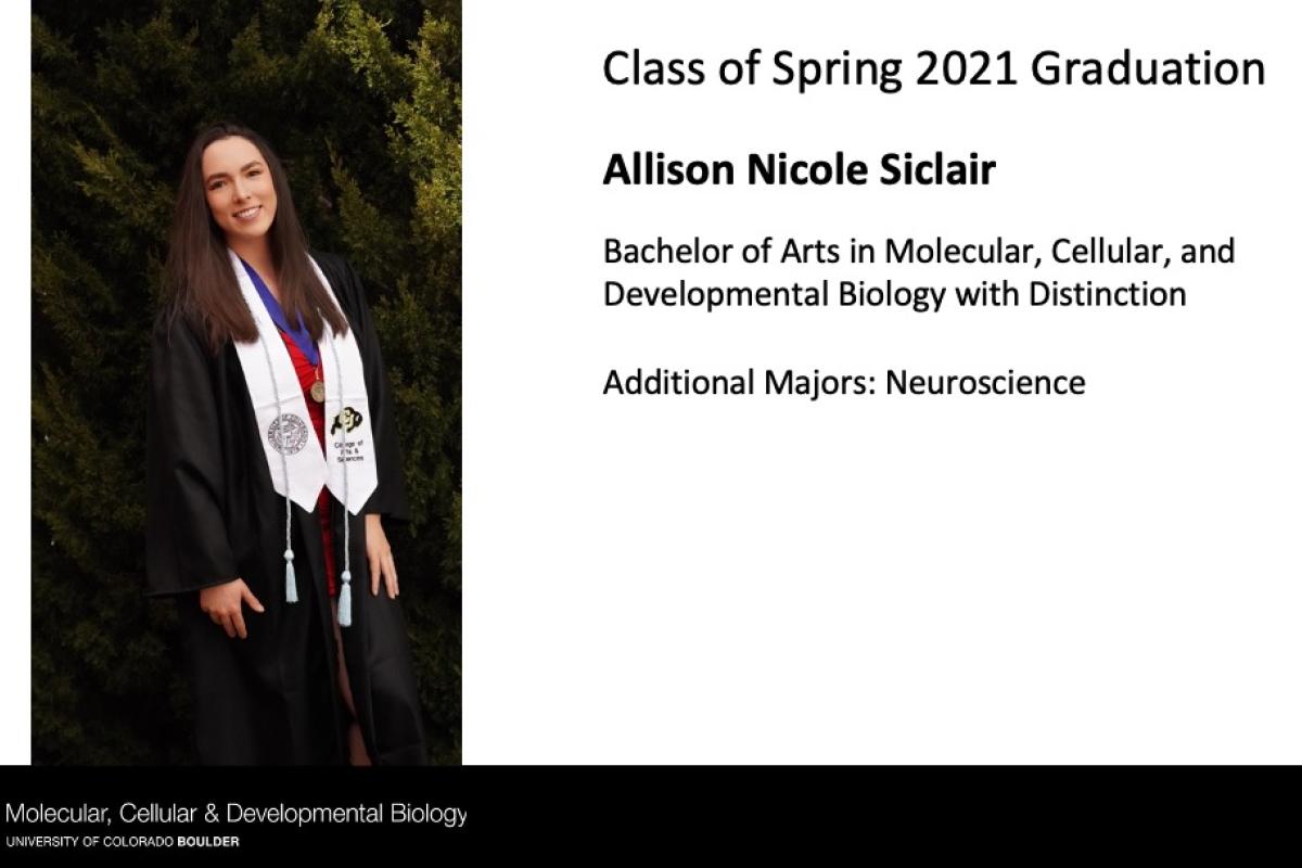 Allison Nicole Siclair