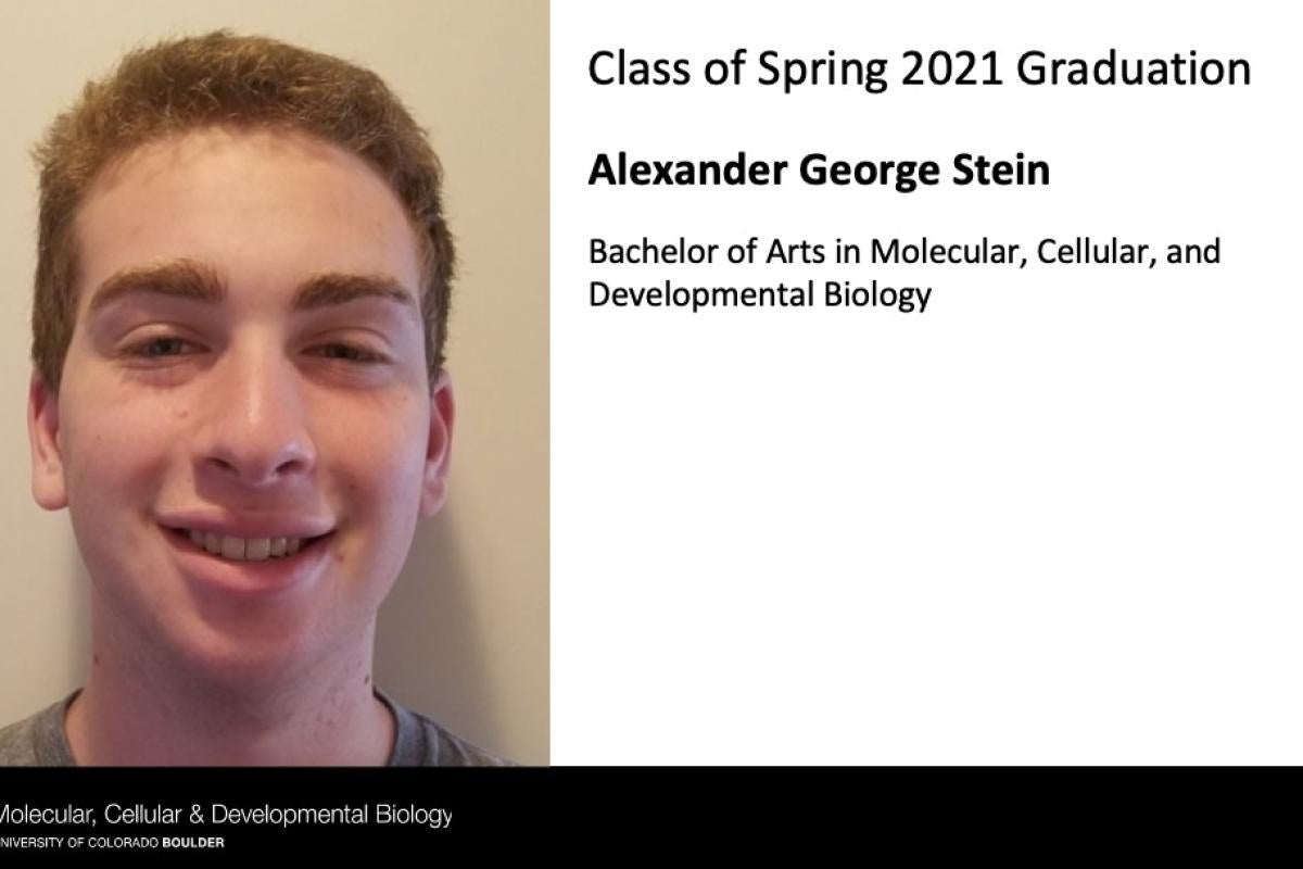Alexander George Stein
